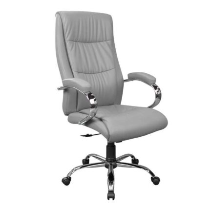Fotoliu Birou 2162B-X Grey